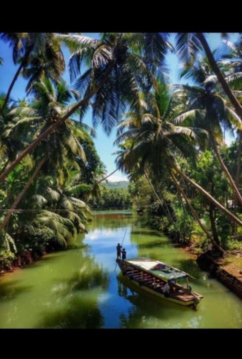 Photo of Others in Honavar