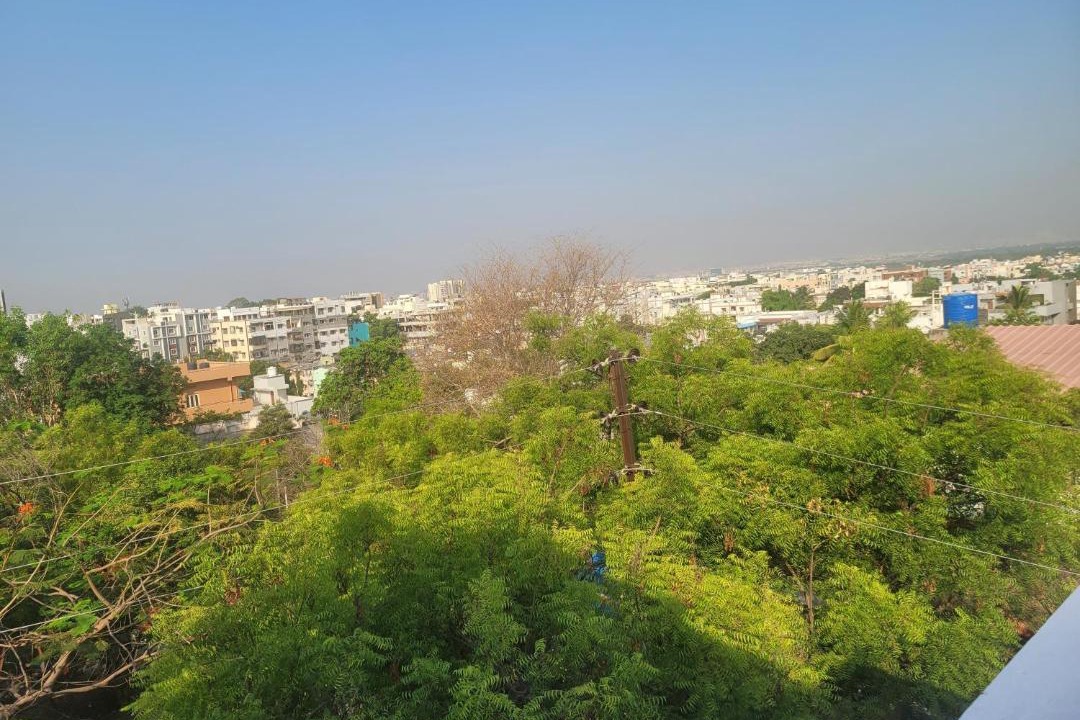 Photo of Others in Hyderabad