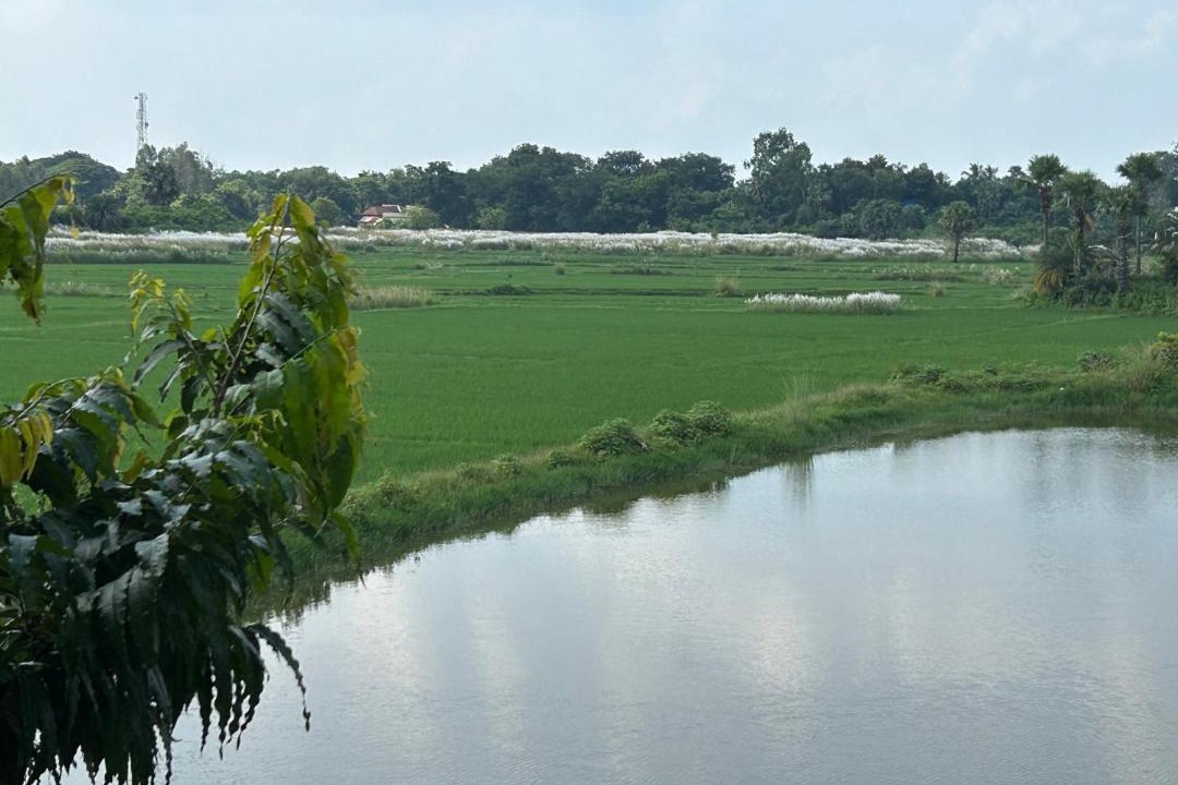 Photo of Others in Daronda
