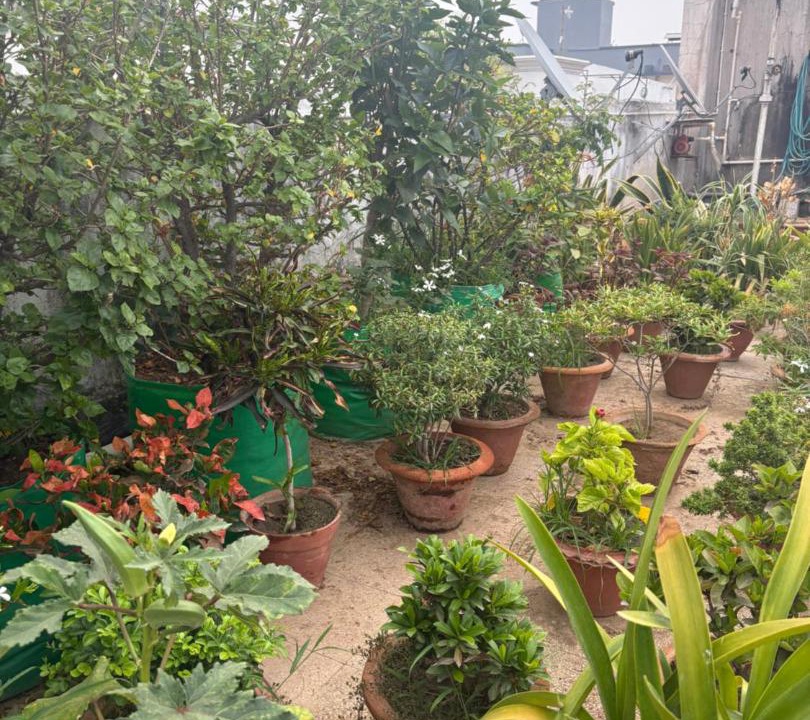 Photo of Others in Patna