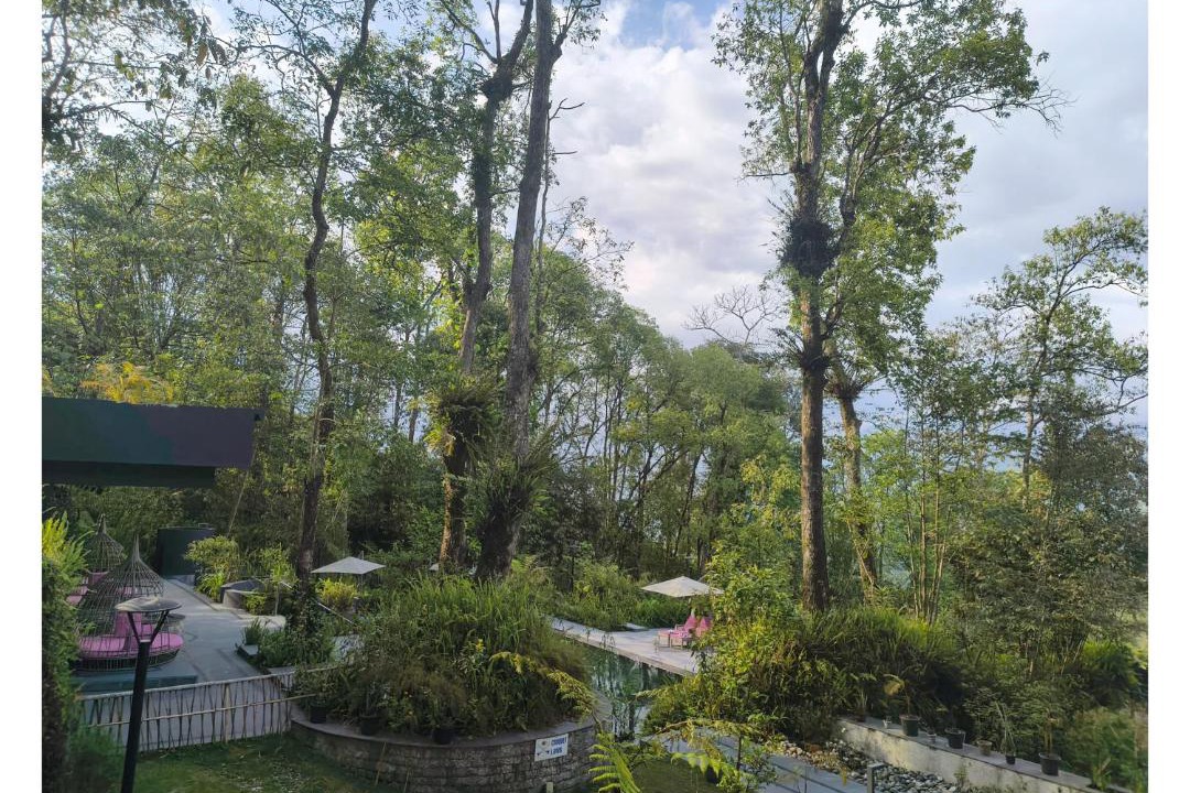 Photo of Others in Rumtek