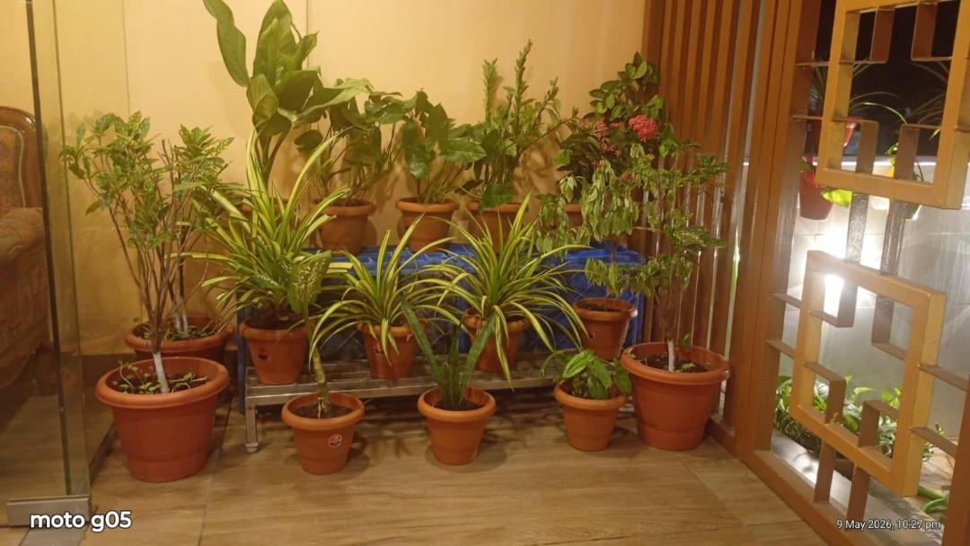 Photo of Others in Nerul