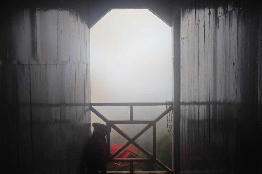 Photo of Others in Darjeeling