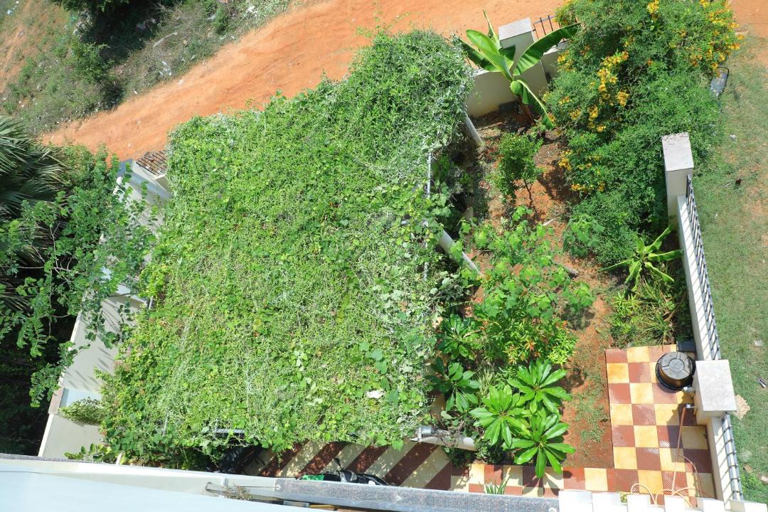 Photo of Others in Ganapathichettikulam