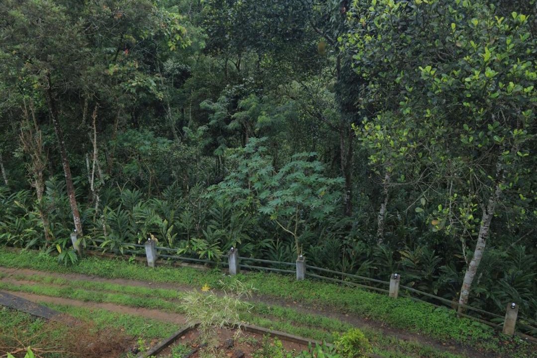 Photo of Others in Pirmed