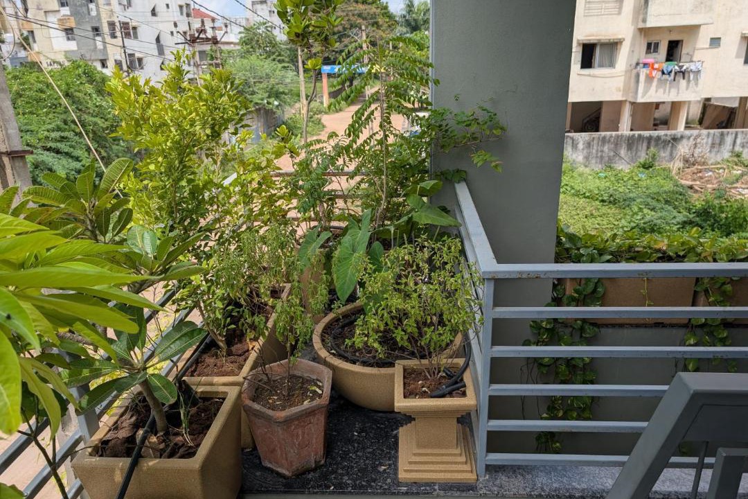 Photo of Patio Balcony in Rajkot