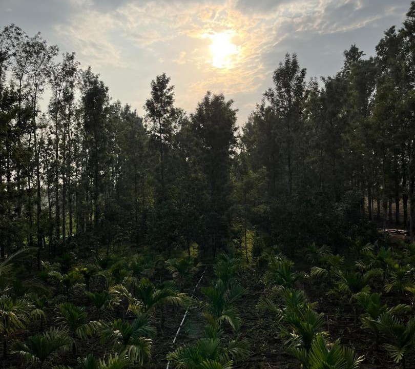 Photo of Outdoor in Piriyapatna