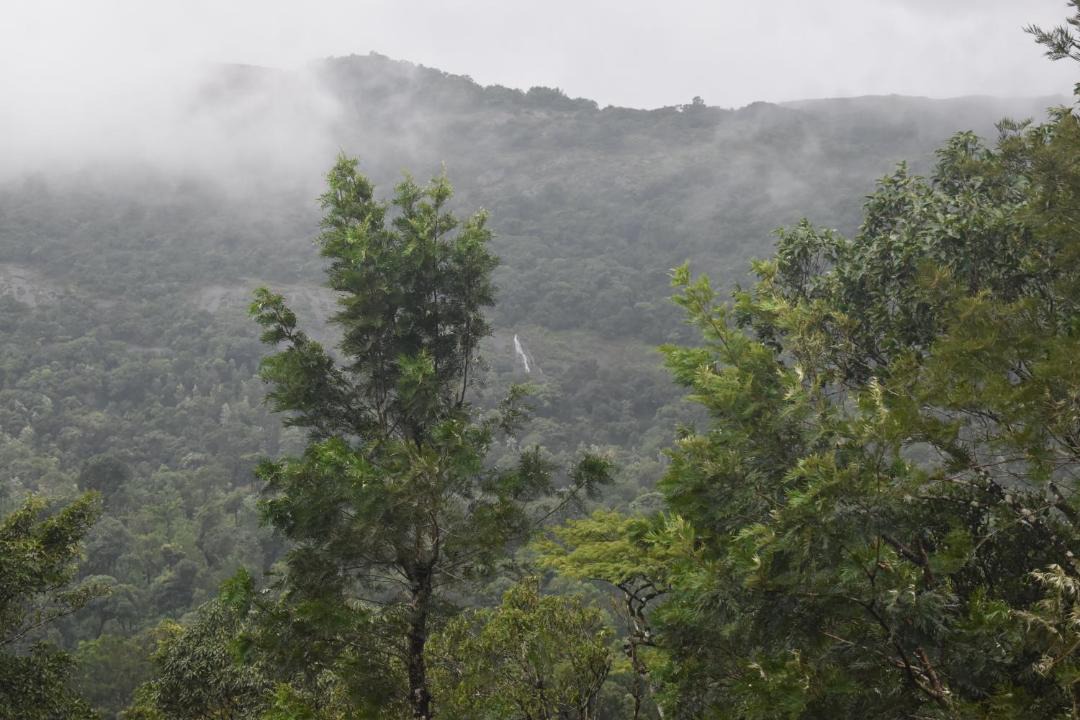 Photo of Others in Somvarpet