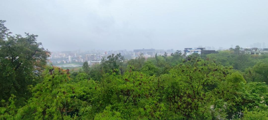 Photo of Others in Belapur