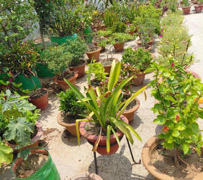 Photo of Others in Patna