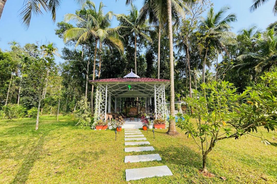 Photo of Others in Kunnamangalam