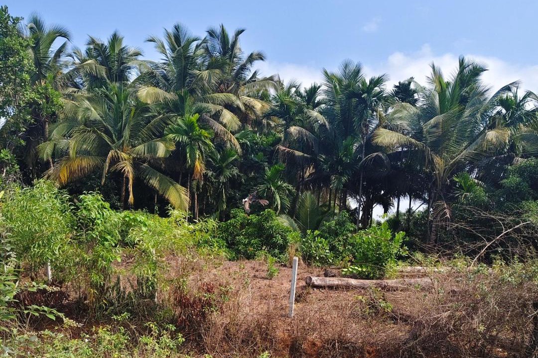 Photo of Others in Hireguthi