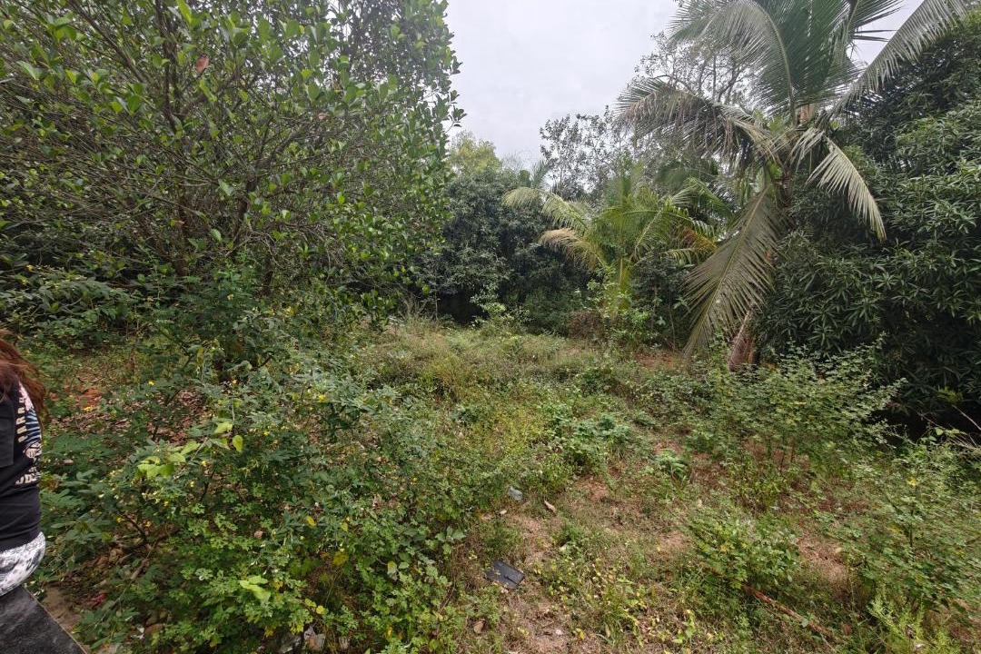 Photo of Others in Auroville