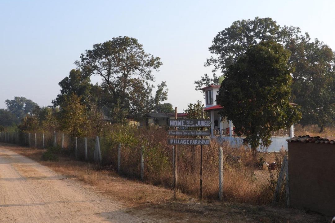 Photo of Others in Turiya