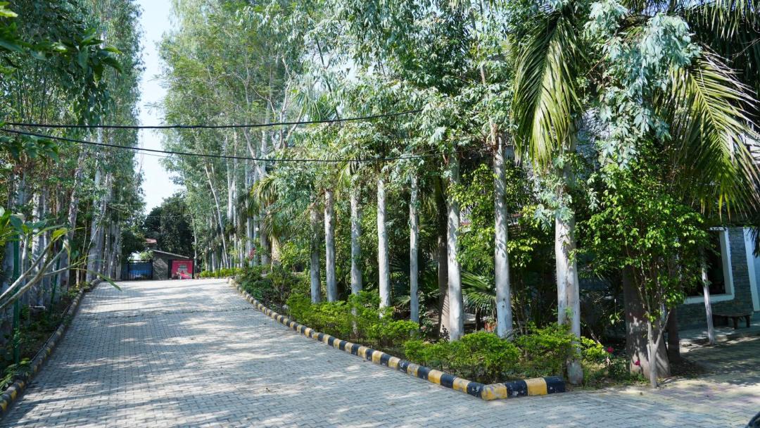 Photo of Outdoor in Marhi