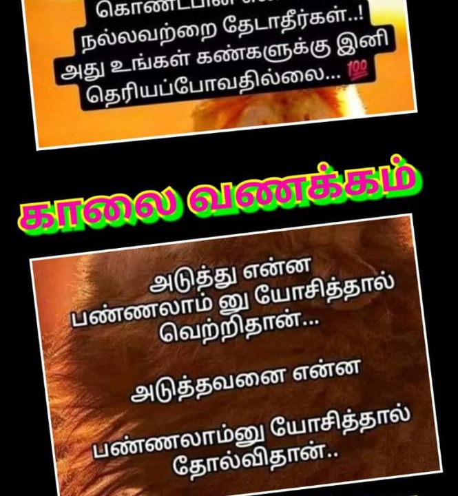 Photo of Others in Rameshwaram