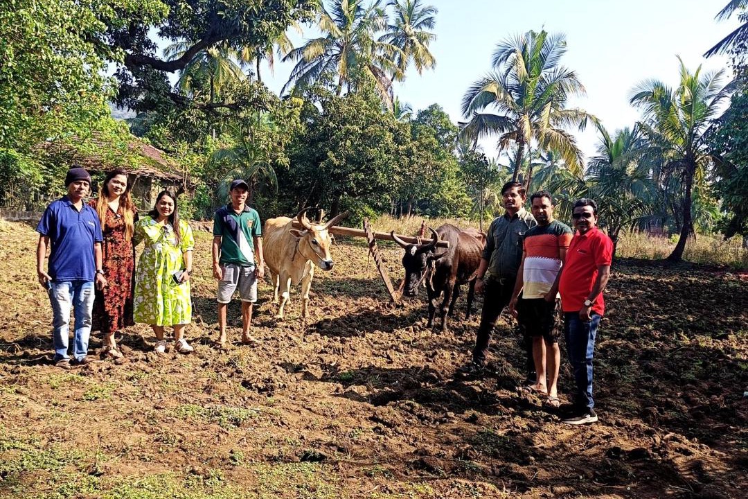 Photo of Others in Harihareshwar