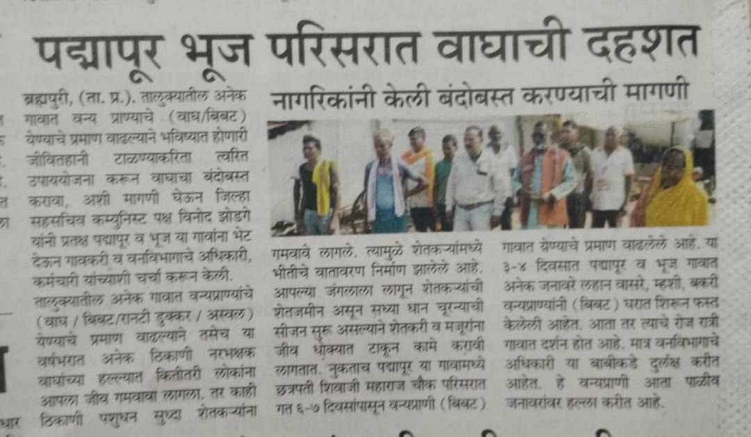 Photo of Others in Bramhapuri