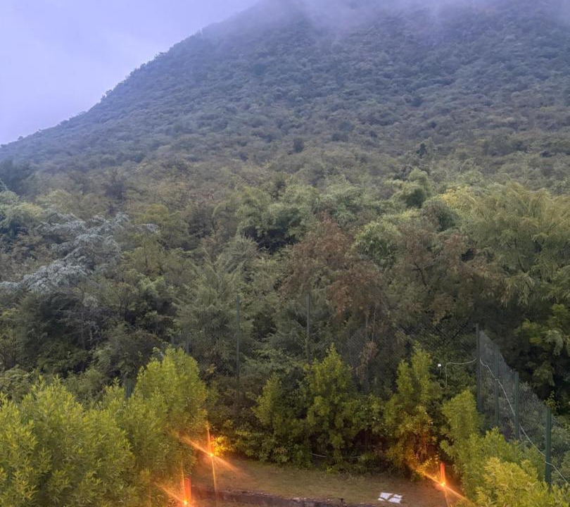 Photo of Others in Bedla