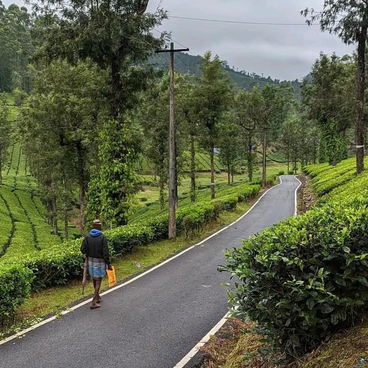 Photo of Others in Gudalur