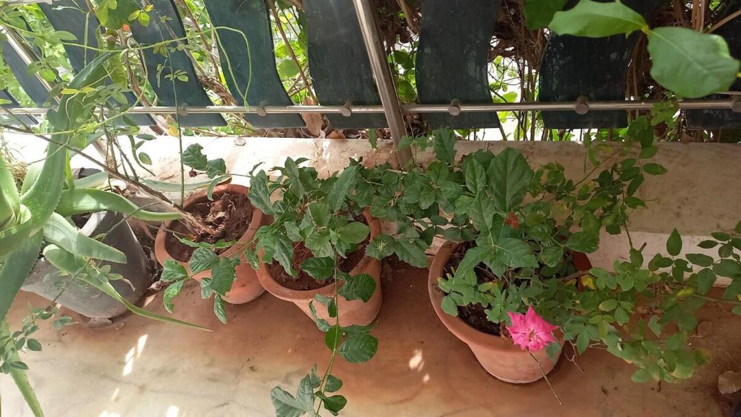 Photo of Others in Bhuj