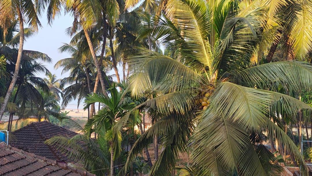 Photo of Others in Murudeshwara