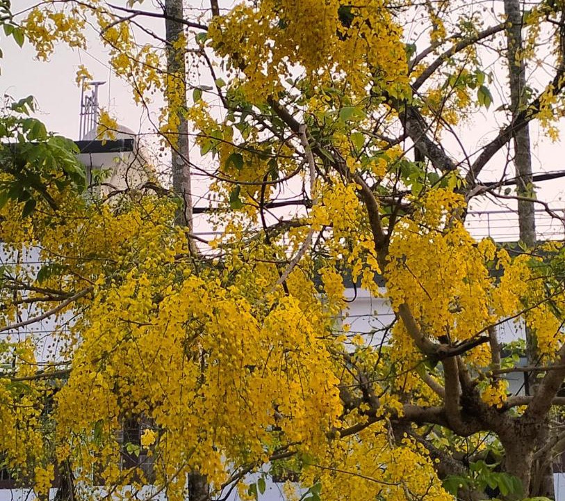 Photo of Outdoor in Vypin