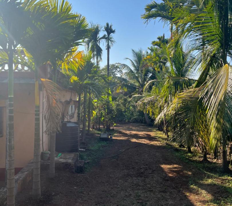 Photo of Others in Anjanvel
