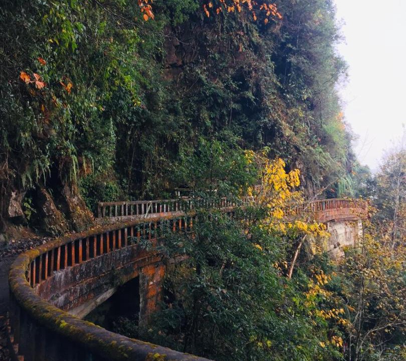 Photo of Others in Darjeeling