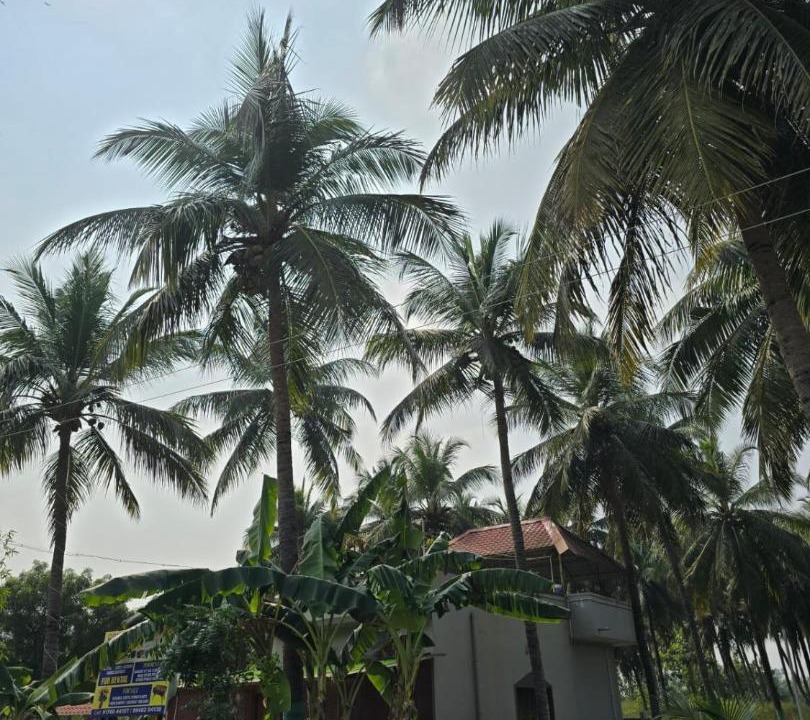 Photo of Others in Kalpakkam