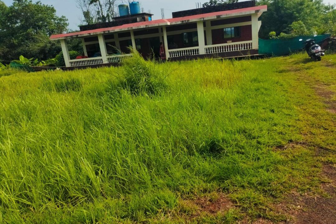 Photo of Others in Guhagar