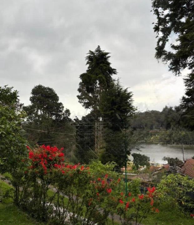 Photo of Others in Kodaikanal