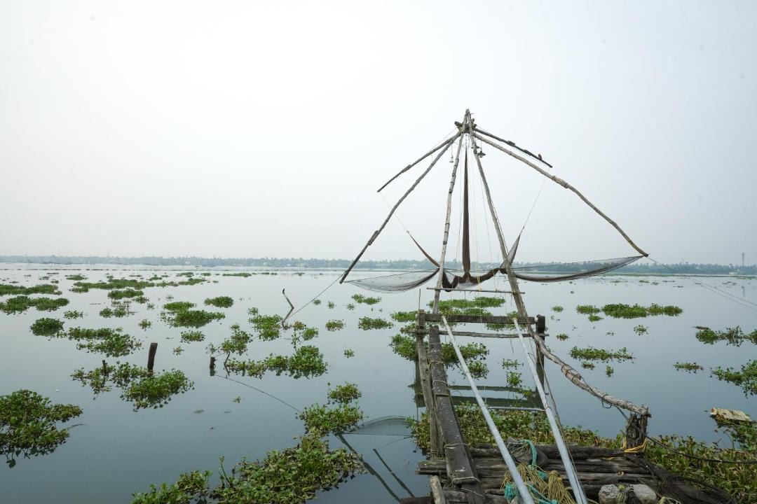 Photo of Others in Kumbalam