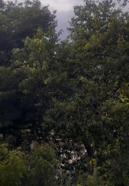 Photo of Others in Tiruvannamalai