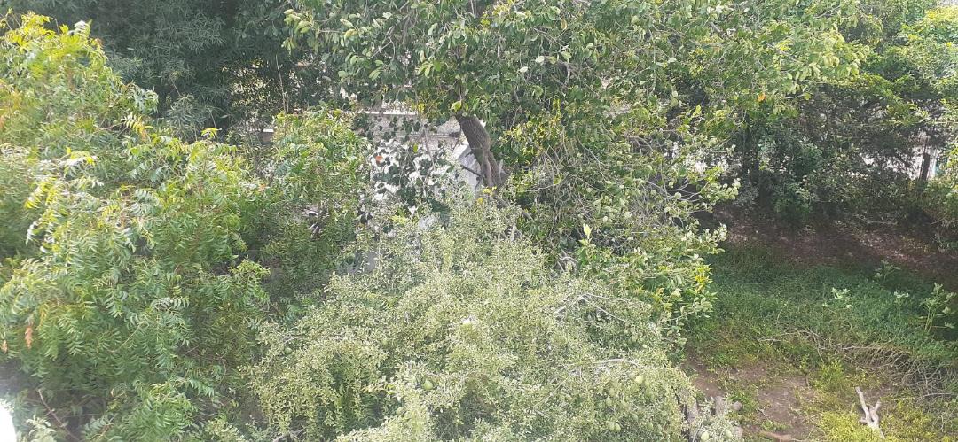 Photo of Others in Tiruvannamalai