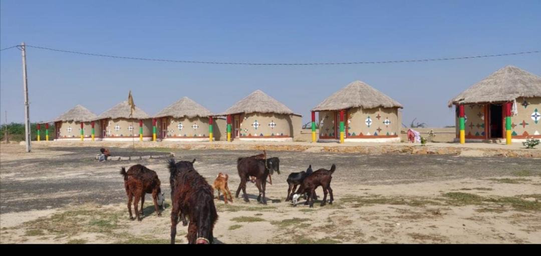 Photo of Buildings in Bhuj
