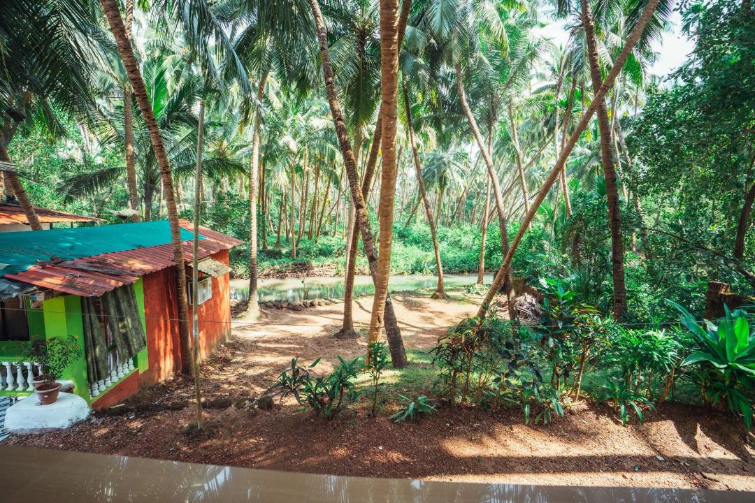 Photo of Others in Agonda