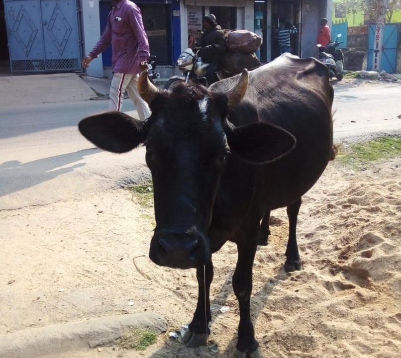 Photo of Others in Dhanbad