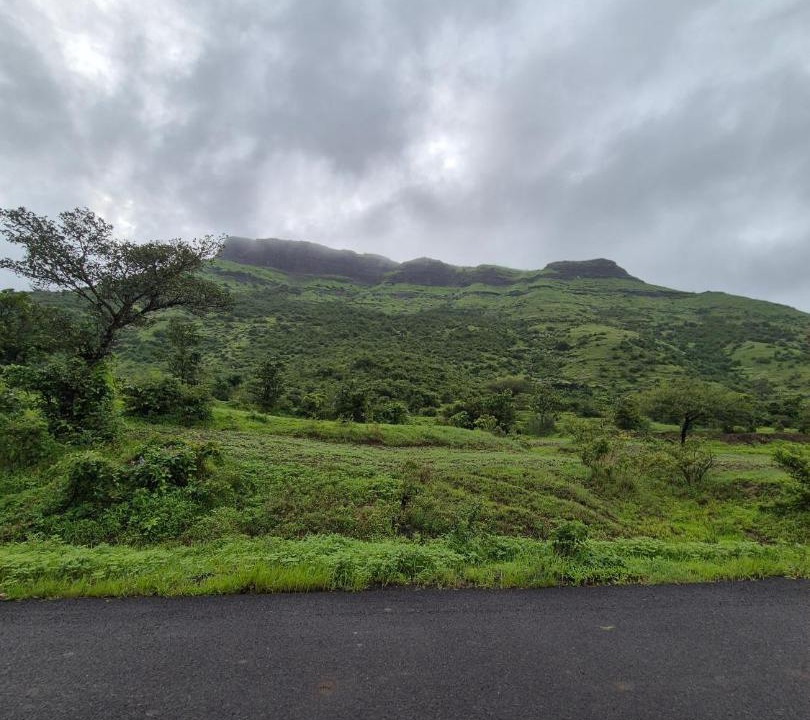Photo of Others in Nashik