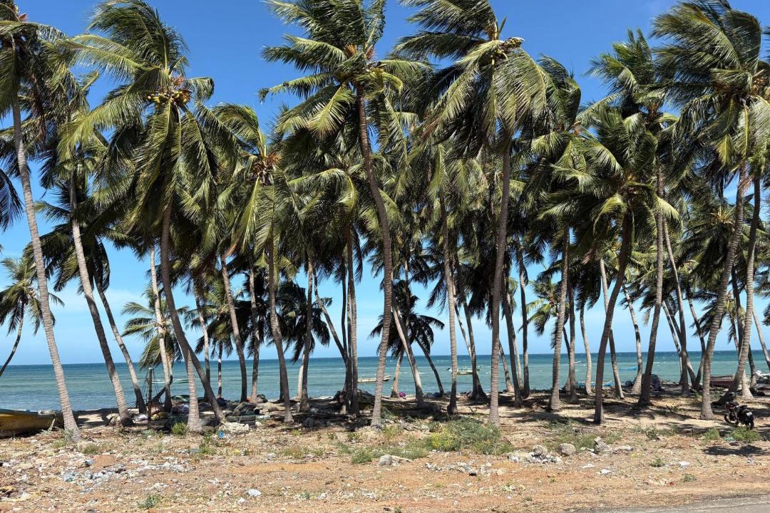 Photo of Others in Rameshwaram