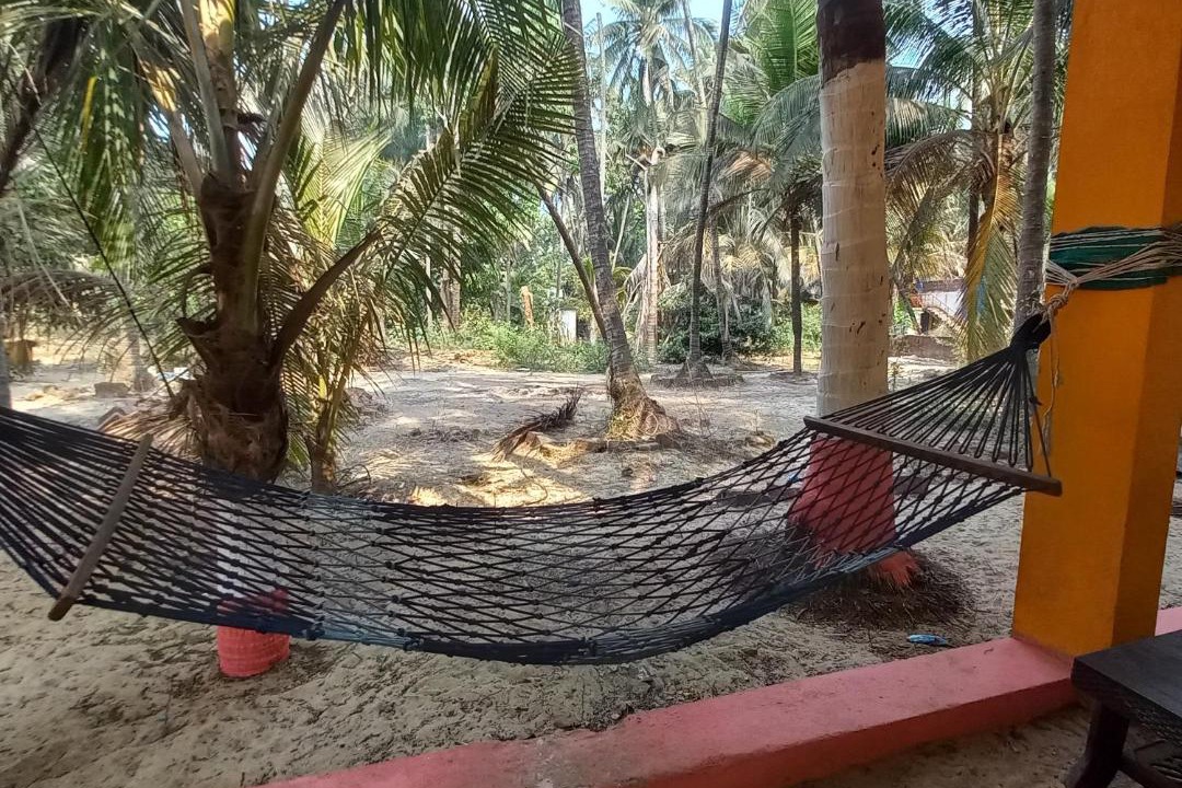Photo of Others in Devbag