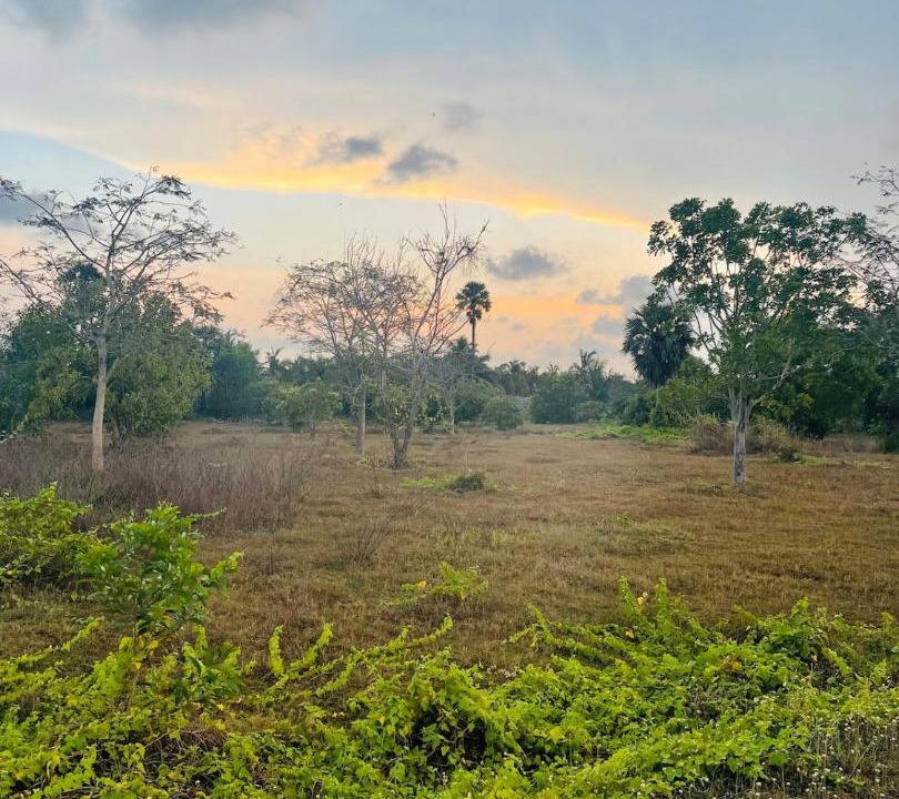 Photo of Others in Cheyyur