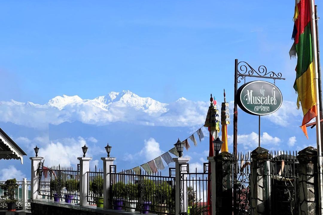 Photo of Others in Darjeeling