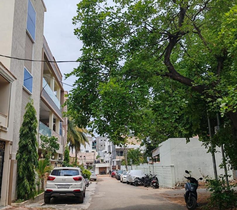 Photo of Others in Hyderabad
