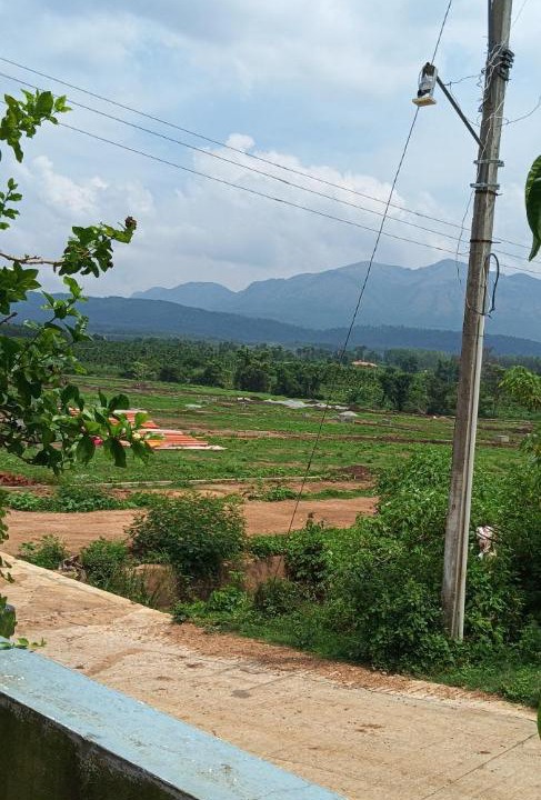 Photo of Others in Chikkamagaluru