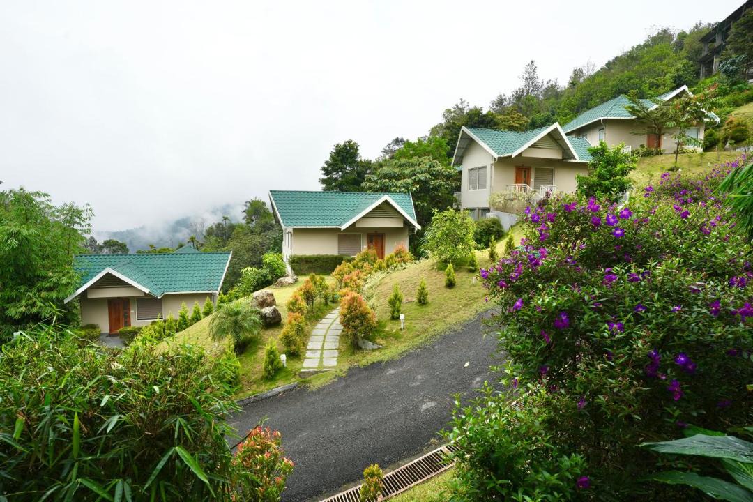 Photo of Others in Devikolam