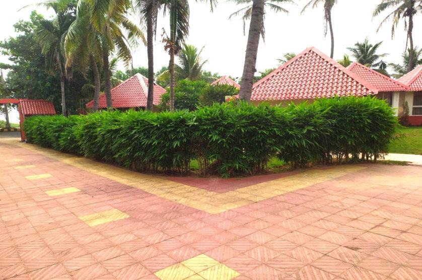 Photo of Others in Visakhapatnam