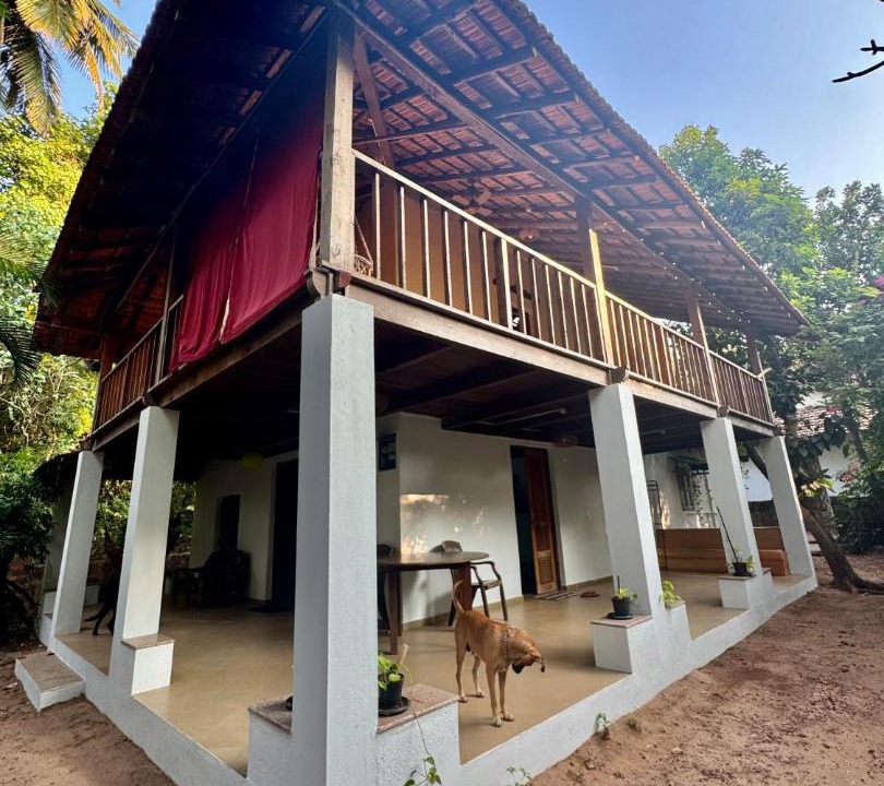 Photo of Others in Anjuna