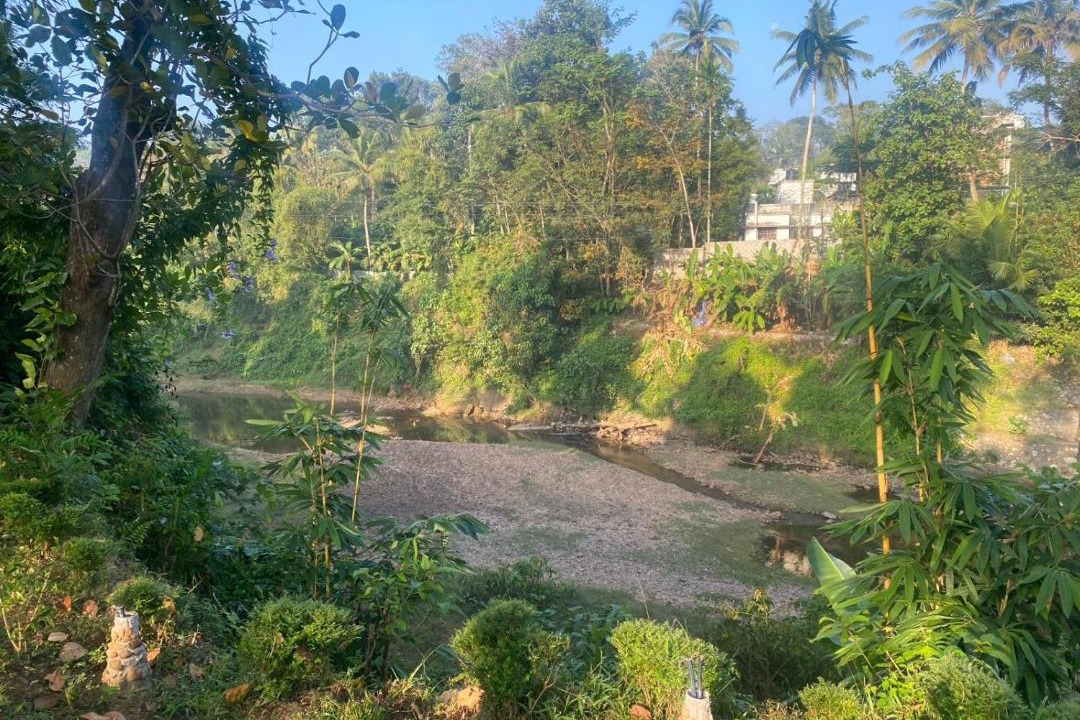 Photo of Others in Neyyattinkara