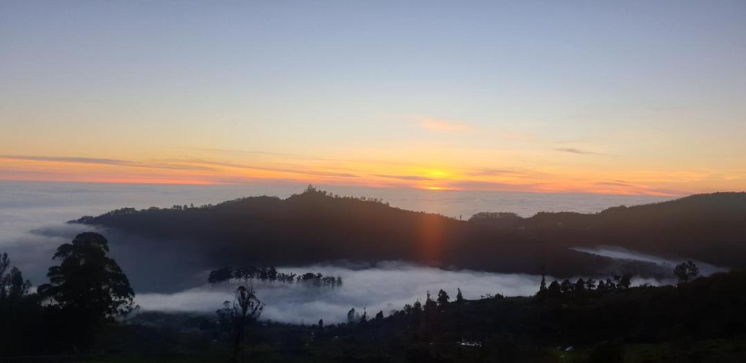 Photo of Others in Kodaikanal